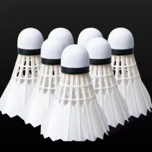 Shuttlecock